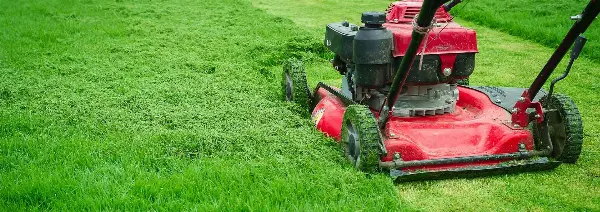 Gardening Services