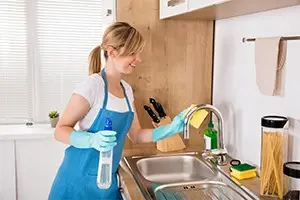 Maid services
