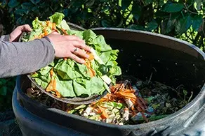 Green waste