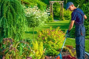 General Gardening